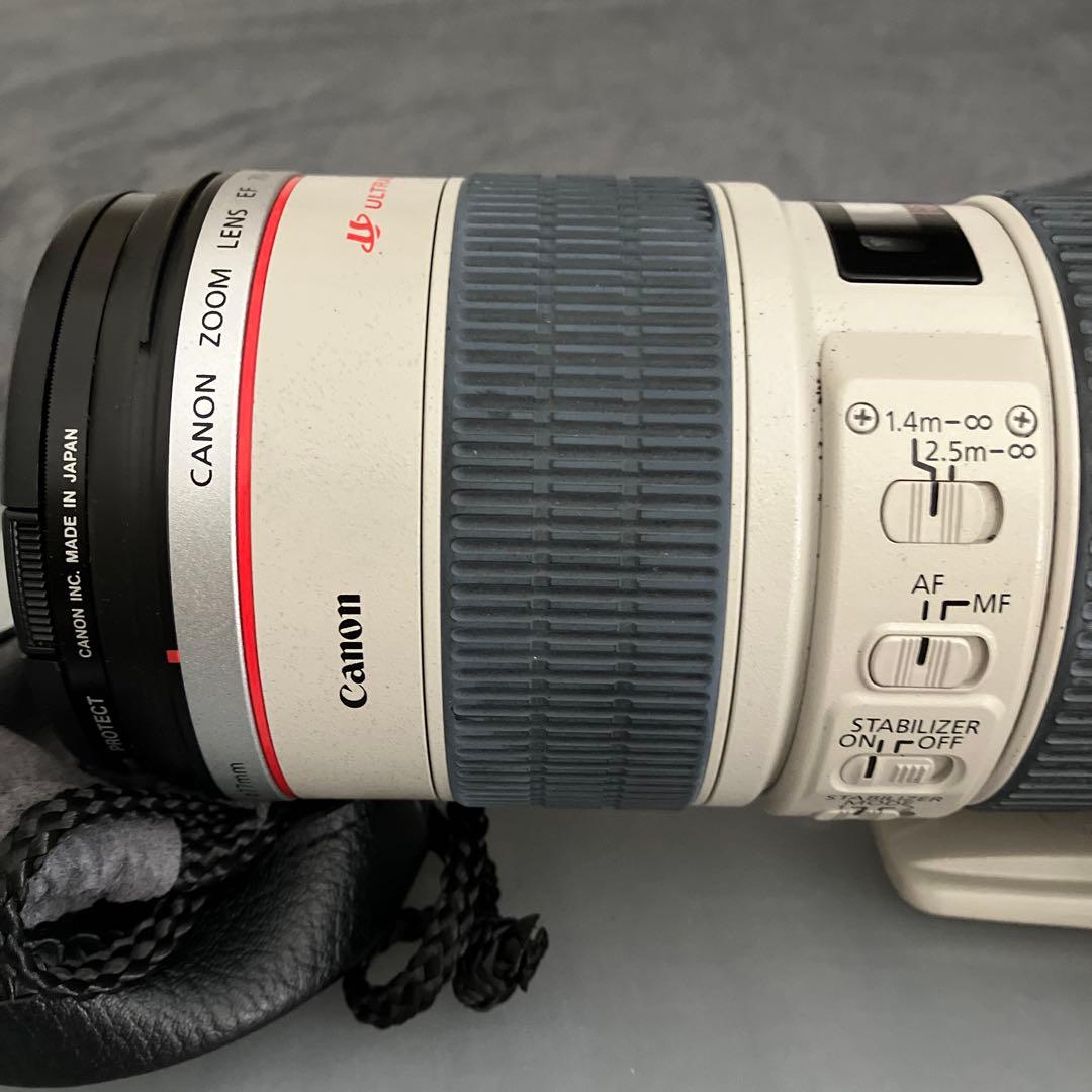 EF 70-200 f/2.8L IS USM +EF1.4 ✖️Ext Ⅲ