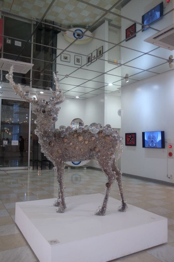 [美品]RICOH GR DIGITAL lllコンパクトデジタルカメラ