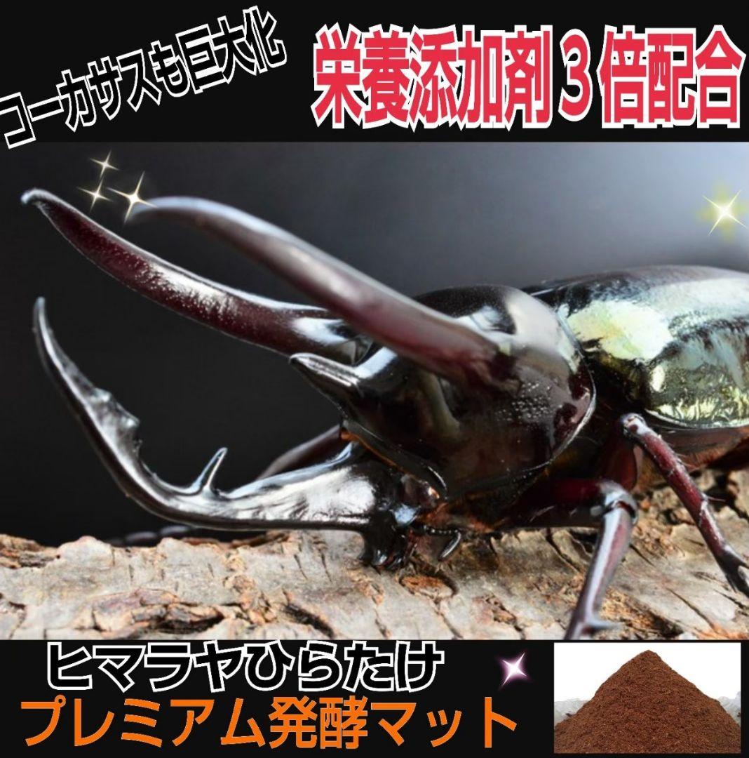 極上！プレミアム3次発酵カブトムシマット【6袋セット】ギネスサイズ羽化実績多数