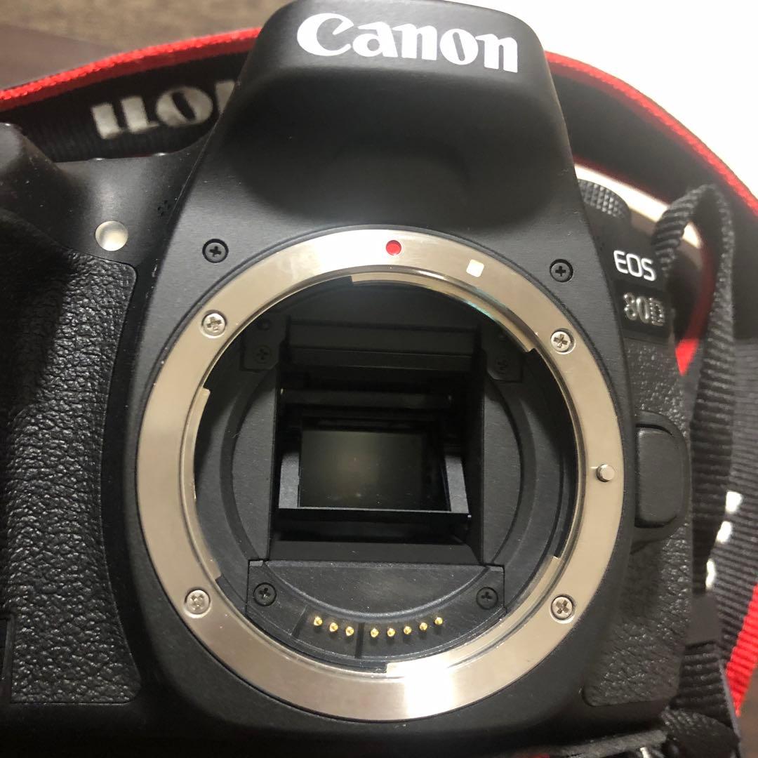 Canon EOS80d カメラ