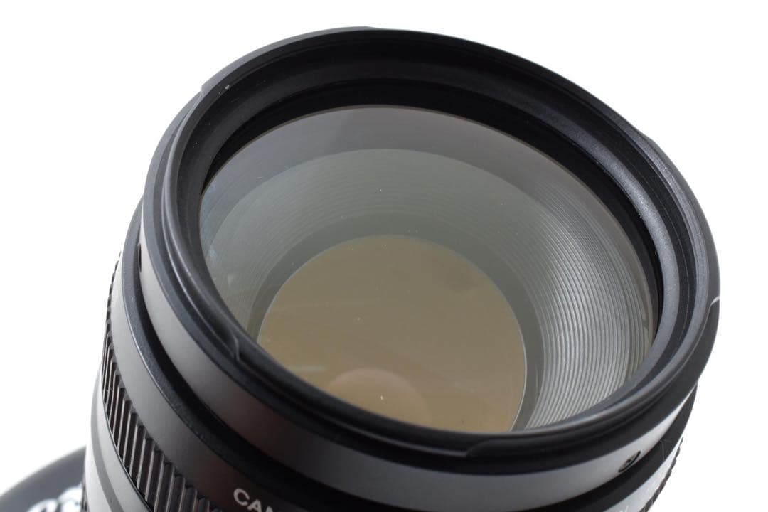 デジタルカメラ Canon EOS 6D Mark II /Canon EF75-300mm