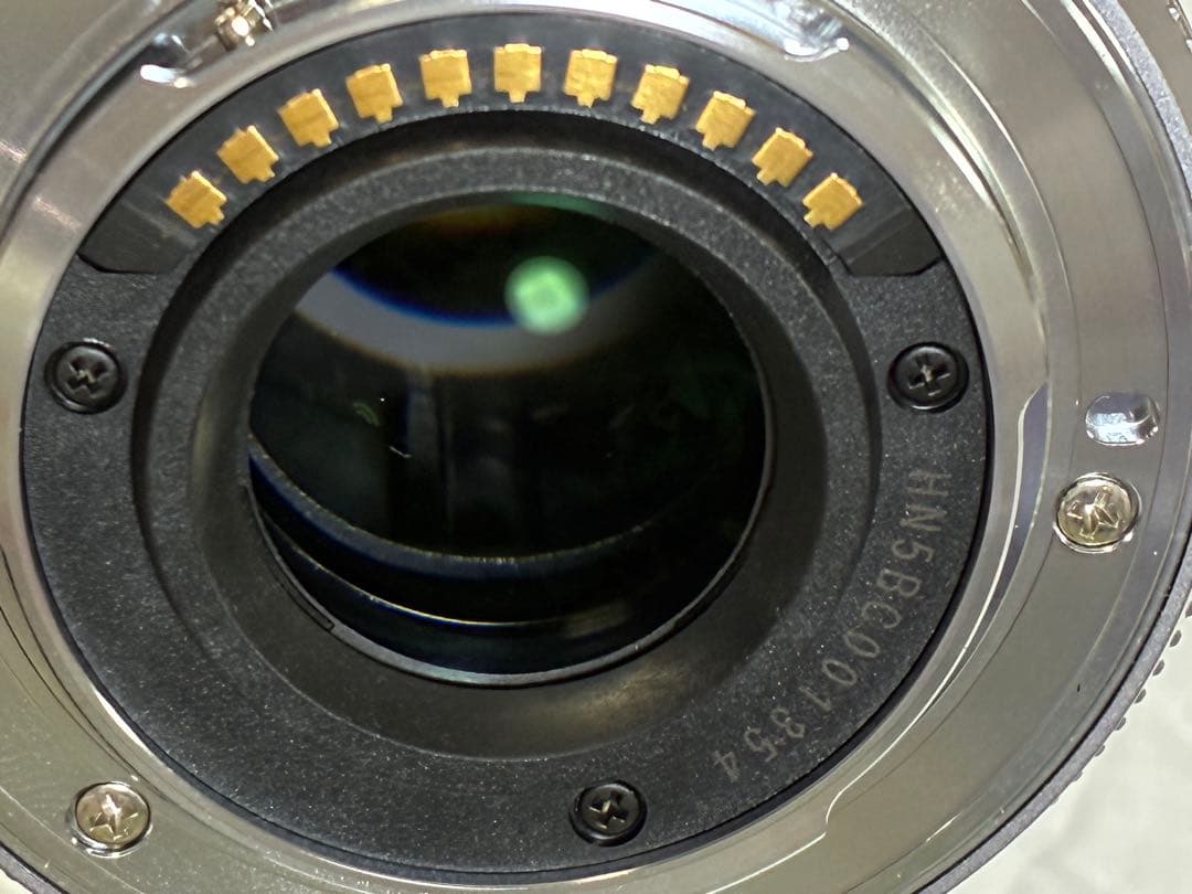 Panasonic H-PS45175 ズームレンズ 45-175mm