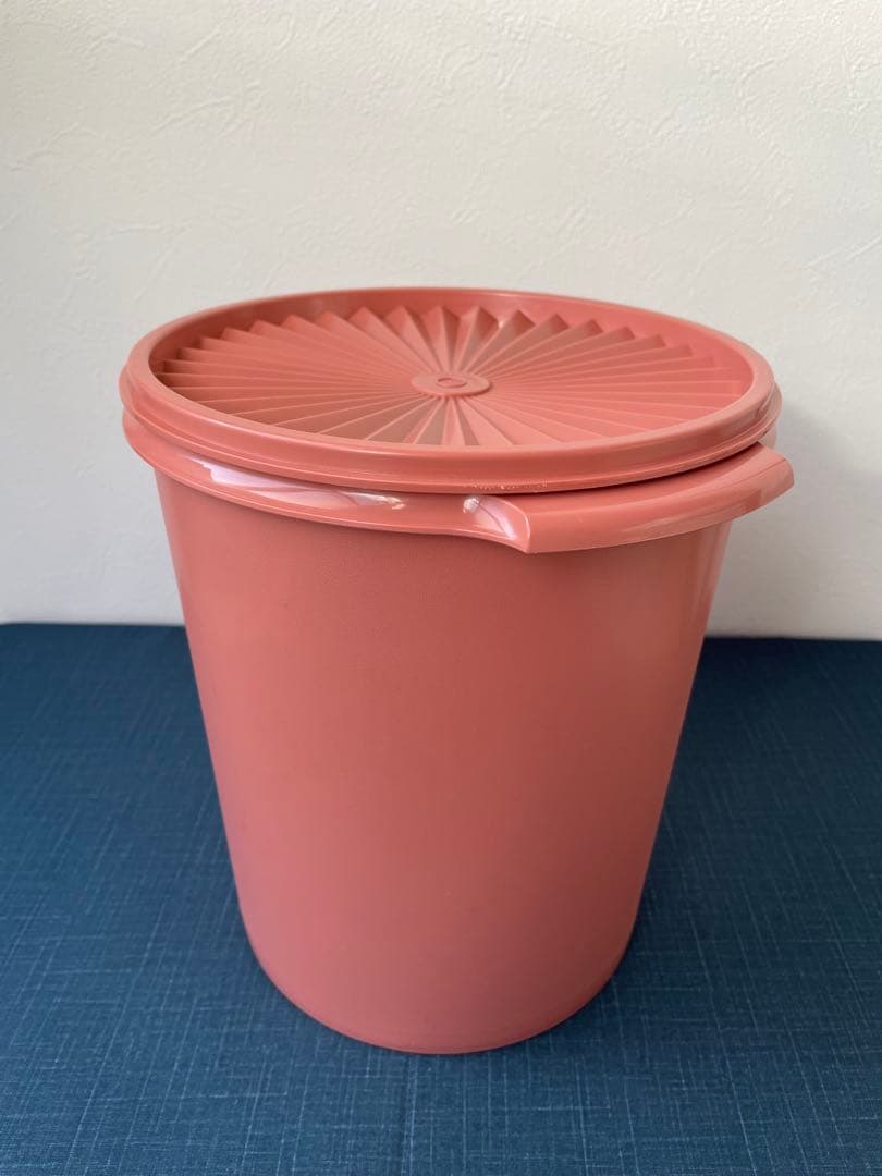 タッパーウェア　レインボークッカー　スチーマー　26cm 蒸し器