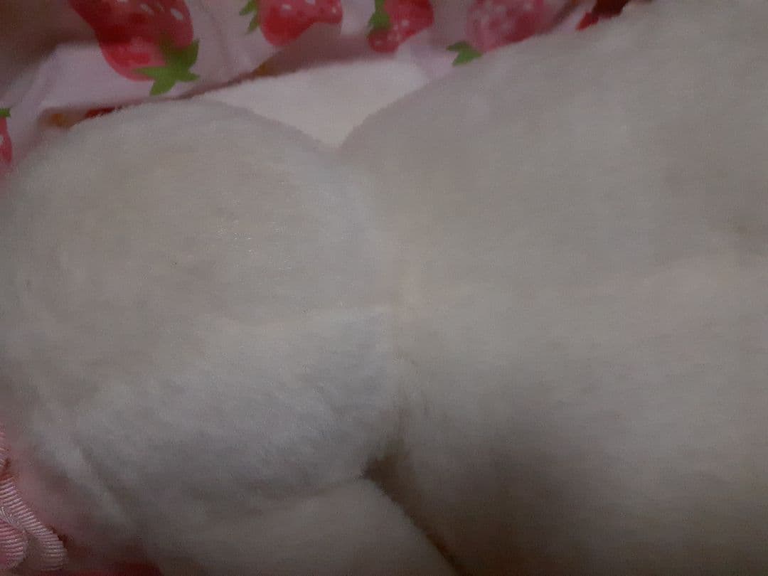 BABY　ティッシュカバー