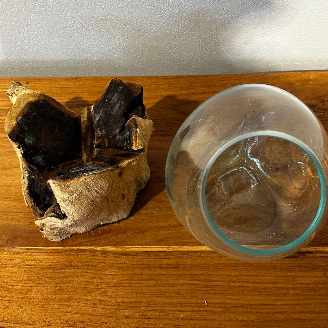 バリ島流木ガラス　w16×d14×h20cm 水槽　アクアリウムメダカ水槽812