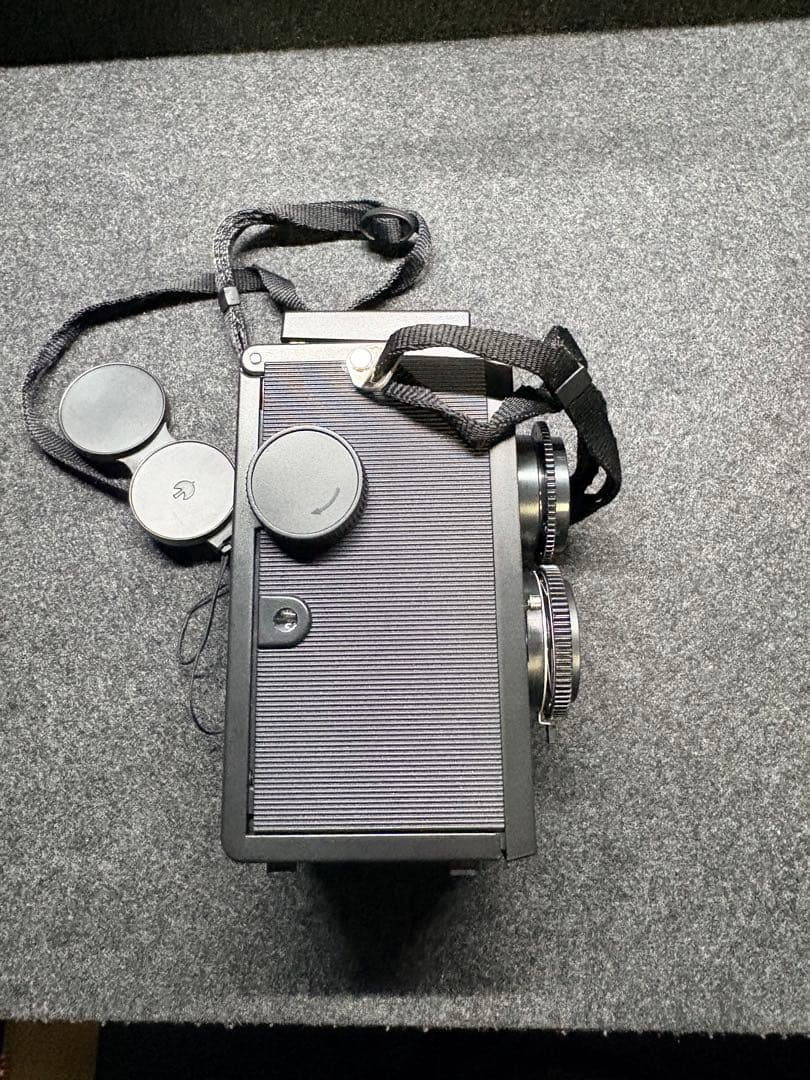 blackbird.fly 二眼 トイカメラ