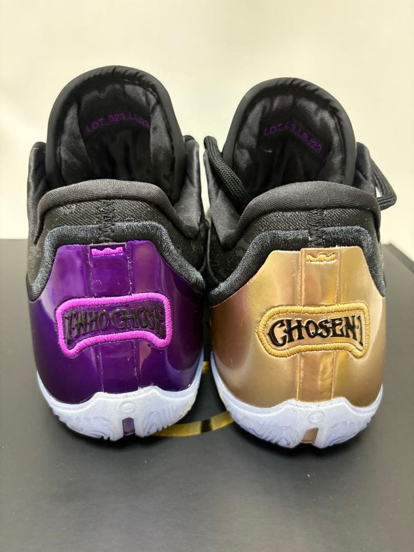 シューズ(男性用) Nike LeBron 23 EP \"Chosen One\"
