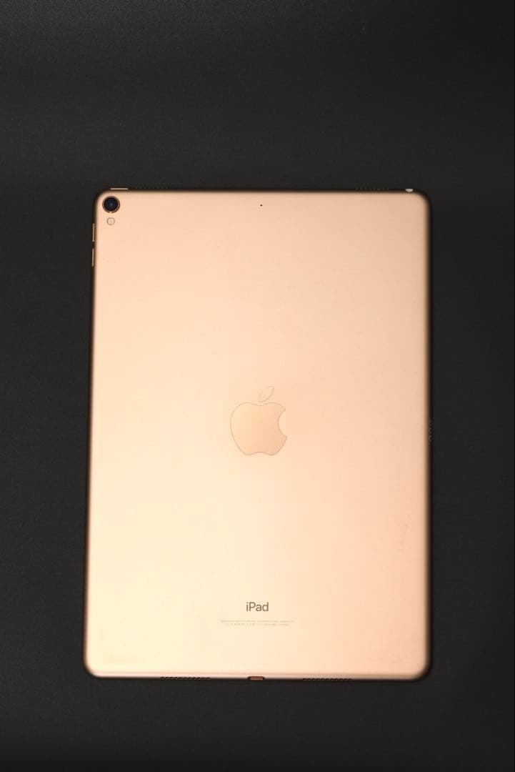 Apple iPad Pro 10.5インチ256GB ローズゴールド おまけ付