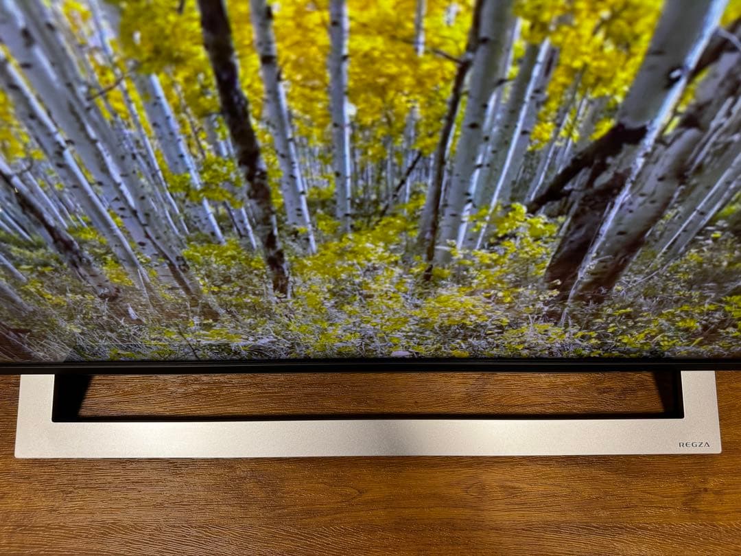 TOSHIBA 43M530X 43インチ液晶テレビ 2020年製