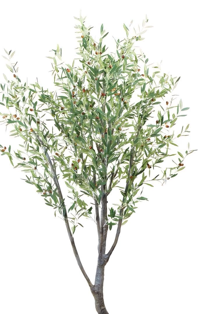 光触媒　人工観葉植物　ウォールグリーン　フェイクグリーン　オリーブ290センチ