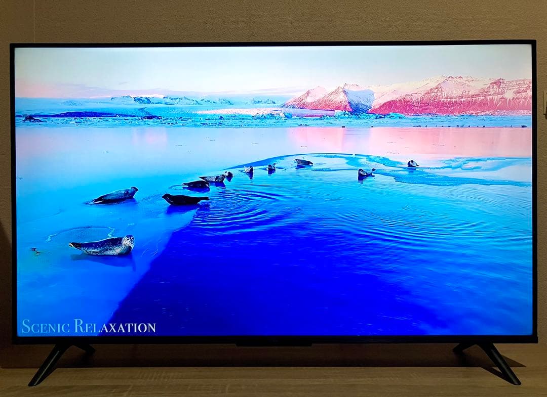 【美品】TCL 液晶テレビ 43V型 2023年製 GoogleスマートTV