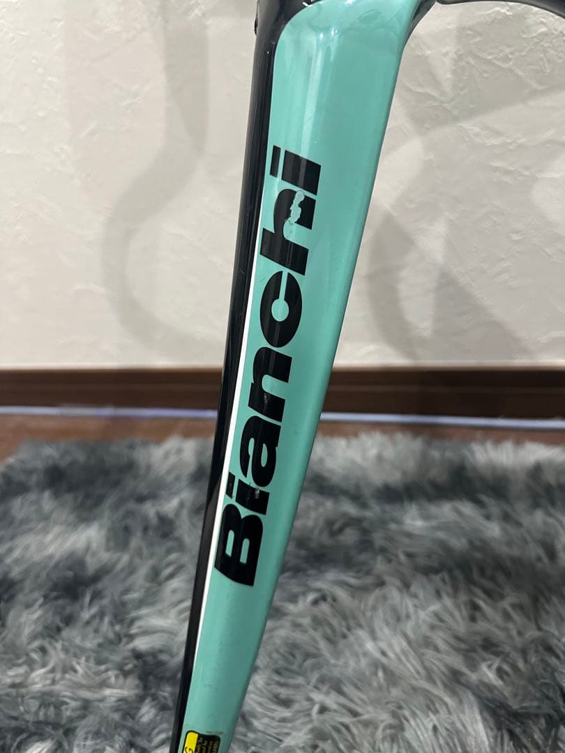 2015 Bianchi infinito cv 55cmフレームセット