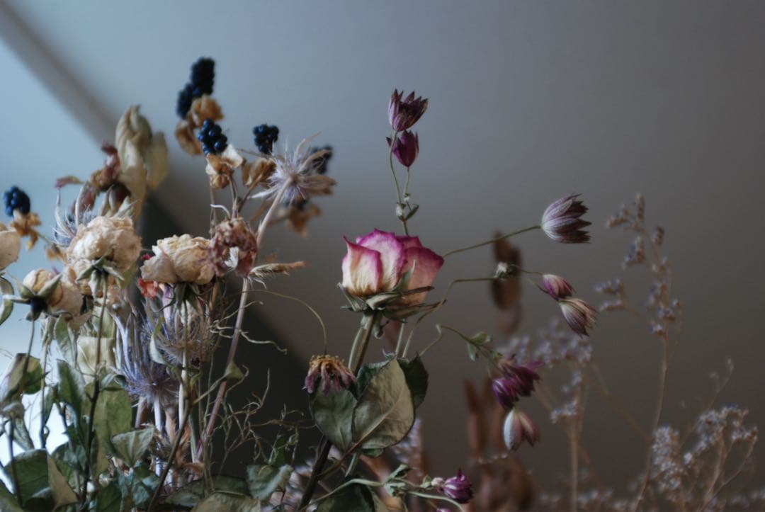 Nikon D80 CCDデジタル一眼ズームニッコール　35-70 MFレンズ付