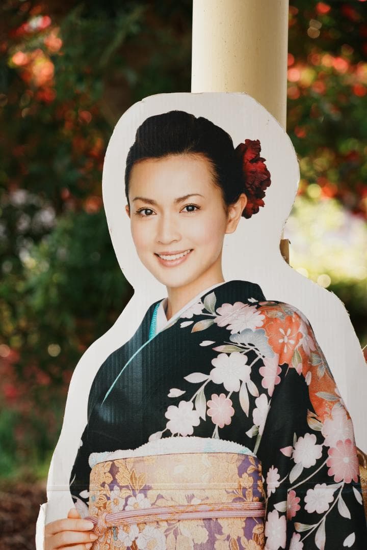 プロが選ぶ旅行最適レンズ SONY SEL24105G 美品 万能レンズ 579