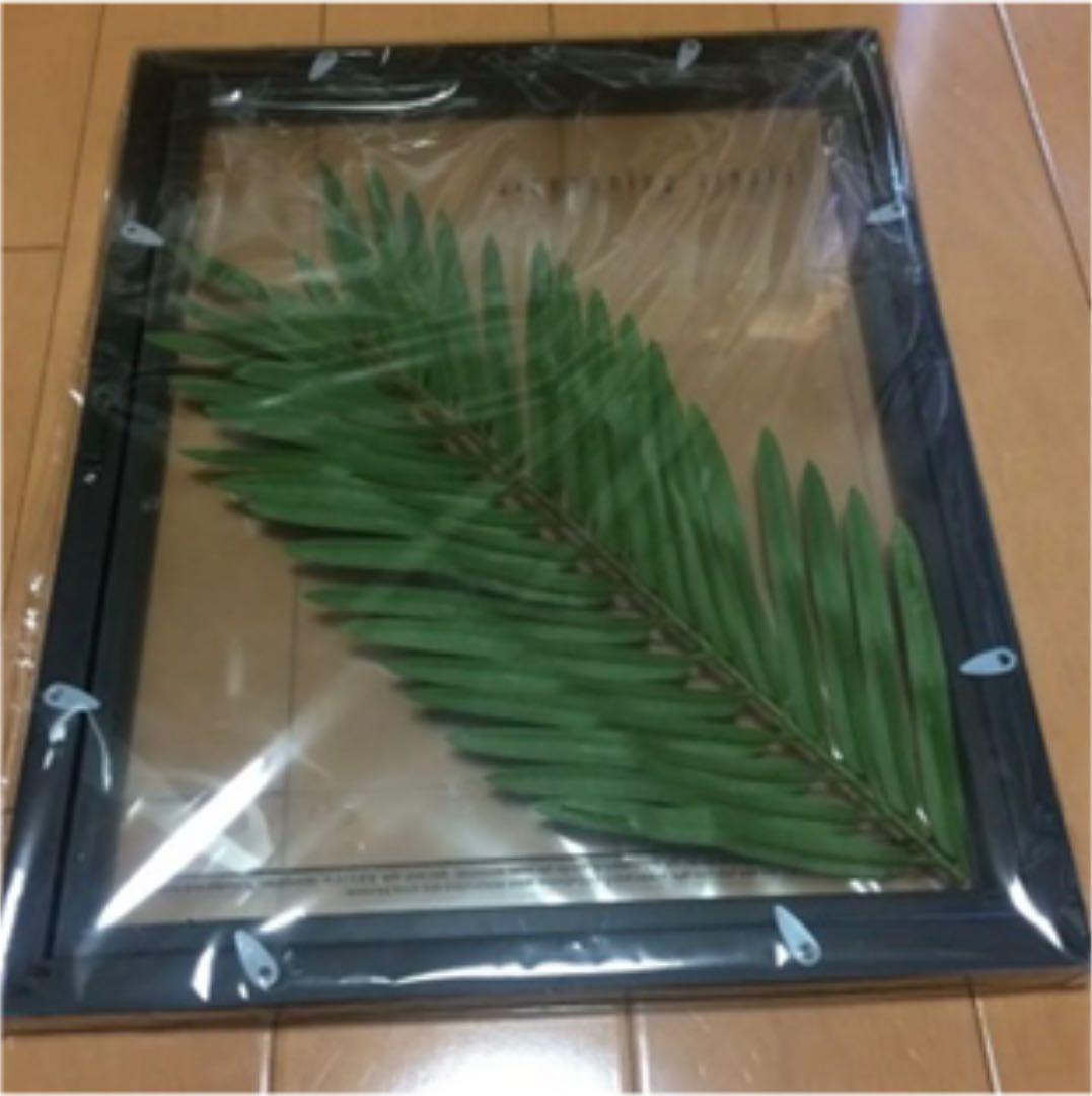 東京インテリア 壁掛け 2枚