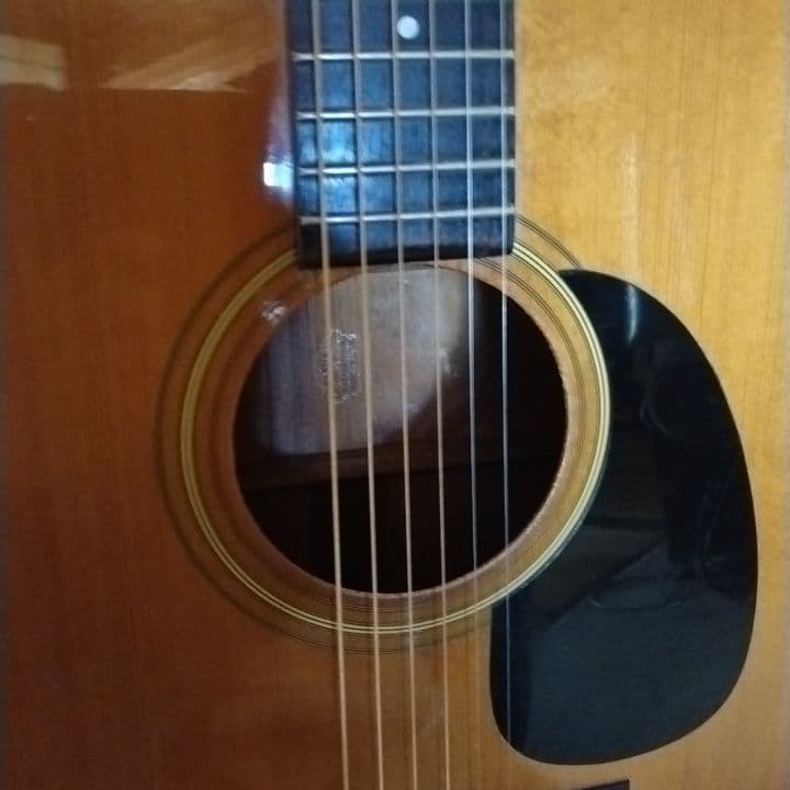 アコースティックギター　カスタム　D-18　ハードケース付き