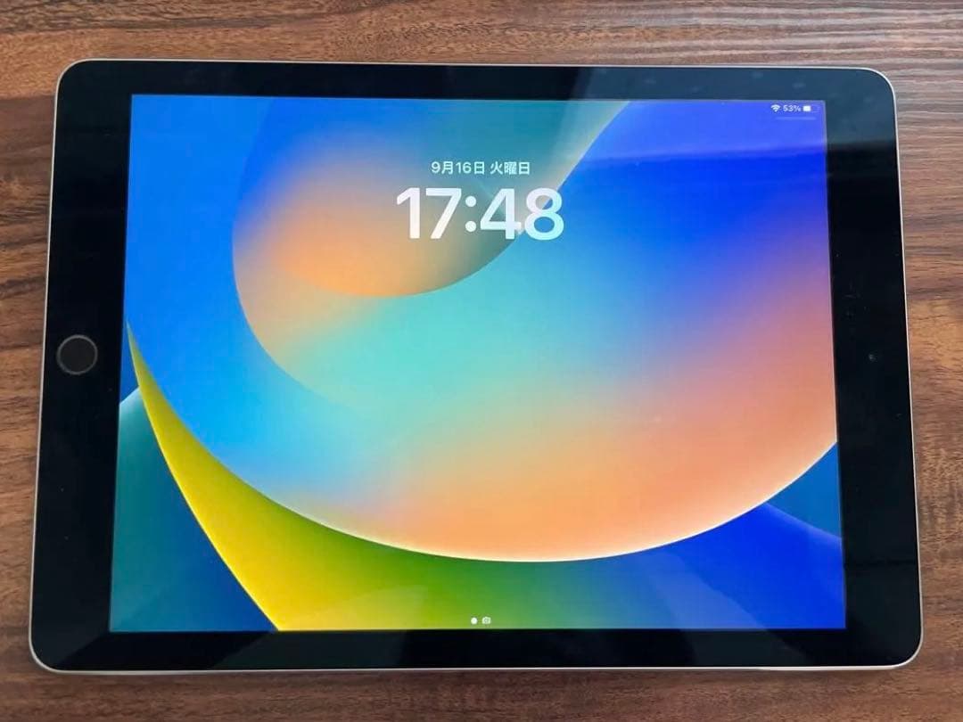 第1世代iPad Pro 9.7インチ 256GBシルバー タッチペンおまけ