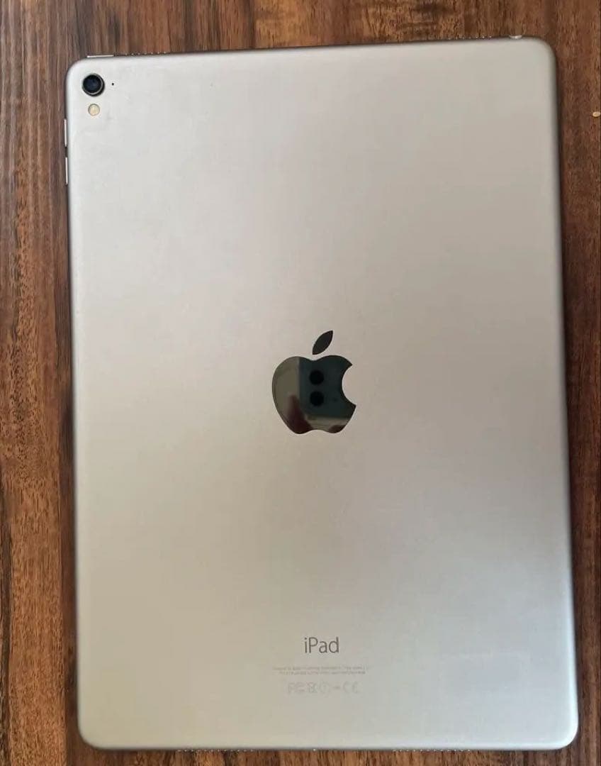 第1世代iPad Pro 9.7インチ 256GBシルバー タッチペンおまけ