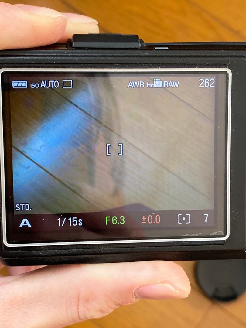 SIGMA DP2 merrill 箱無し　本体のみ