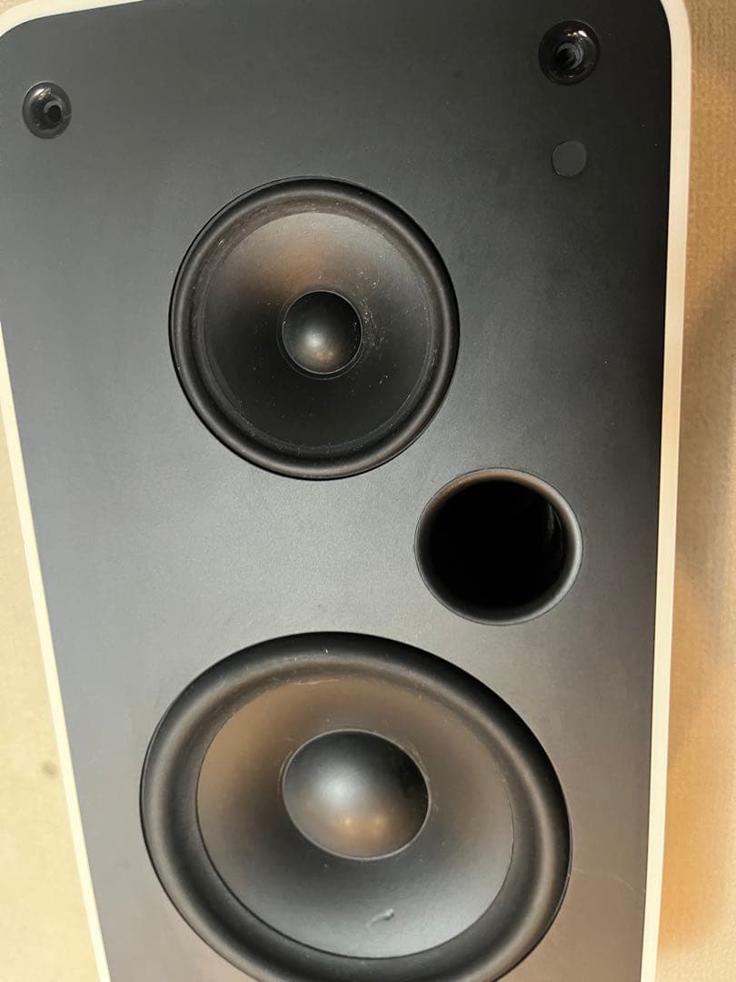 Apple iPod Hi-Fi 動作確認済み