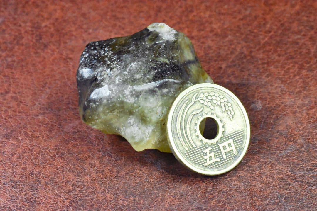 ブラックリビアングラス