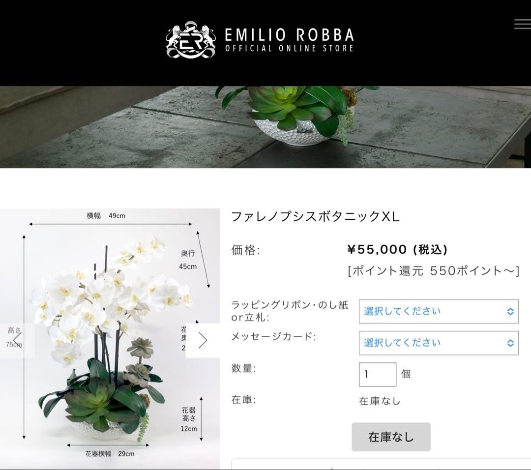 エミリオロバ　胡蝶蘭と多肉　専用です