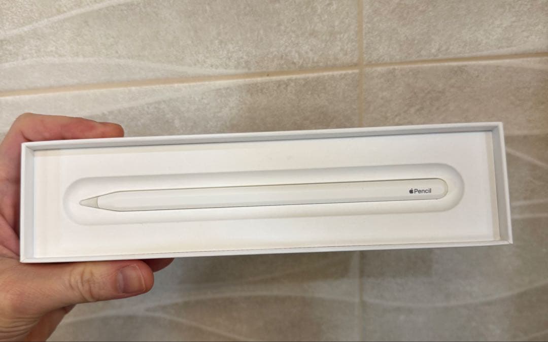 iPad本体 iPad pro12.9 256GB Wi-Fi + Cellular