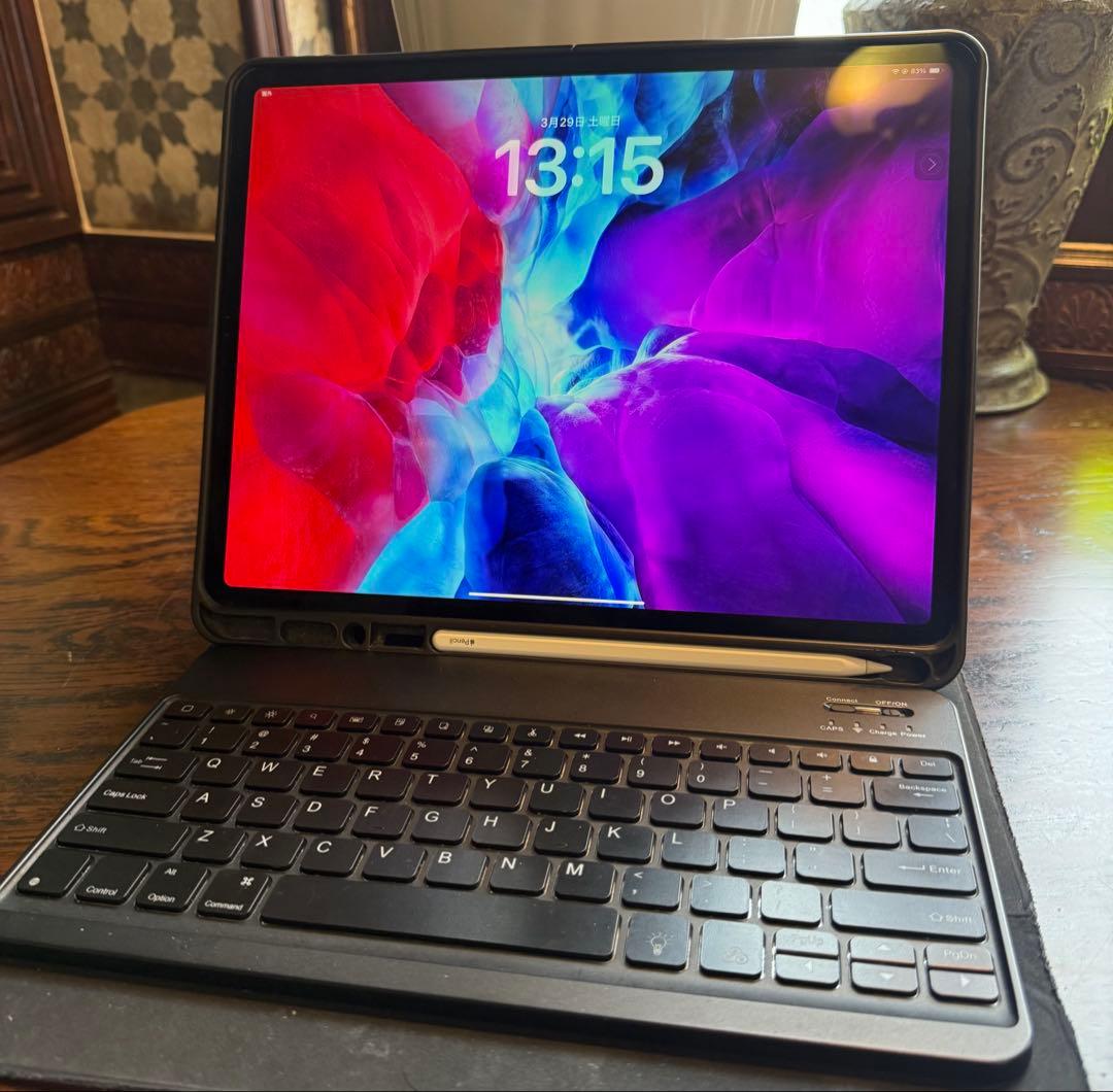 iPad本体 iPad pro12.9 256GB Wi-Fi + Cellular