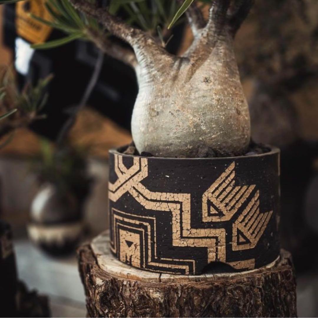 BOTANIZE OLD MOUNTAIN GOUJIN SEN鉢 ボタナイズ