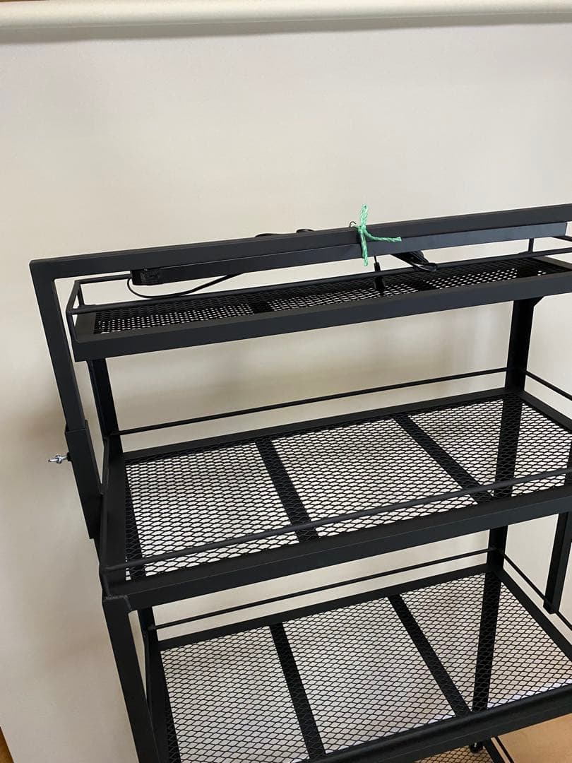 アイアンシェルフ　アイアンラック　植物棚　ボタニカルシェルフ　アガベ　多肉植物