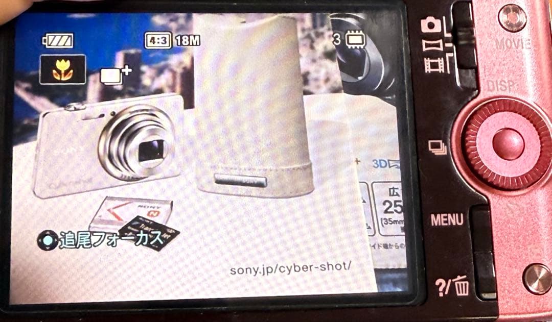 動作確認済★SONY Cyber-Shot DSC-WX100 ピンク★ケース付