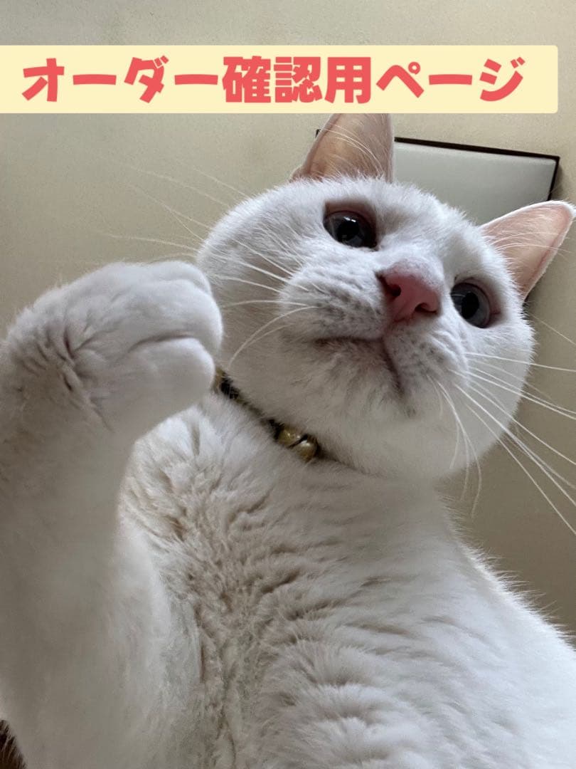 オーダー受付確認用