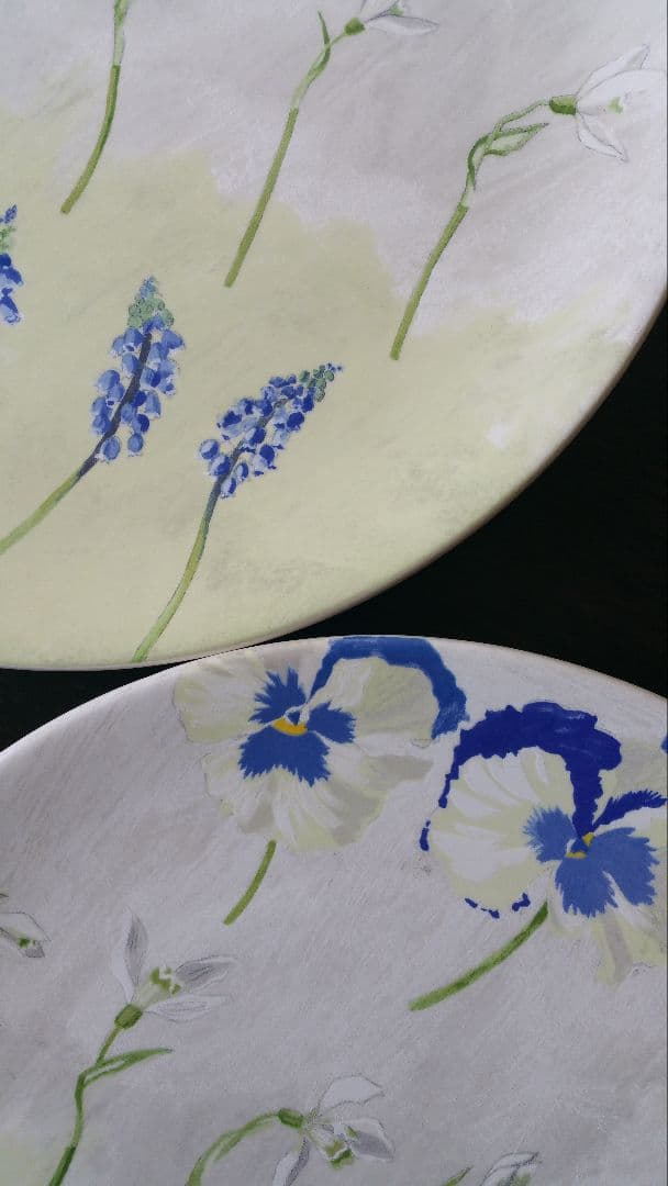 ジアン　アリス　30cm プレート　パーティー皿　２枚セット