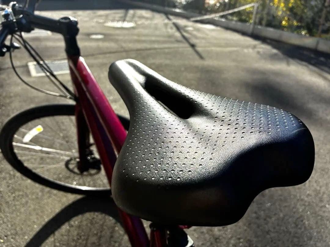 TREK FX1 DISCA RED L（175〜） 2023年モデル　東京都