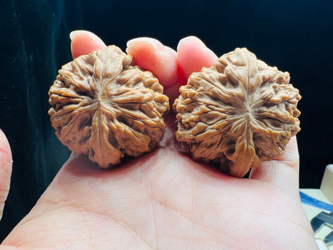 文玩堂：「2025年、市場で最も人気のある胡桃の一つ、饕餮紋獅子頭。」