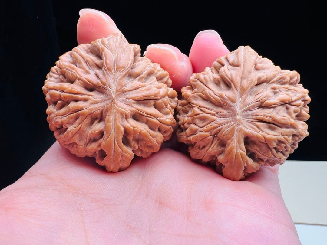 文玩堂：「2025年、市場で最も人気のある胡桃の一つ、饕餮紋獅子頭。」