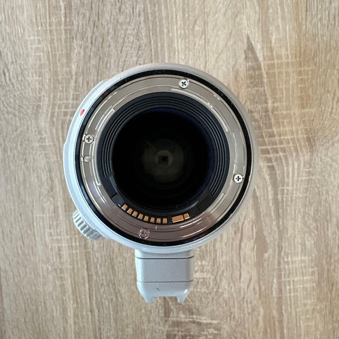 トシ様Canon EF100-400mm F4.5-5.6L IS II USM