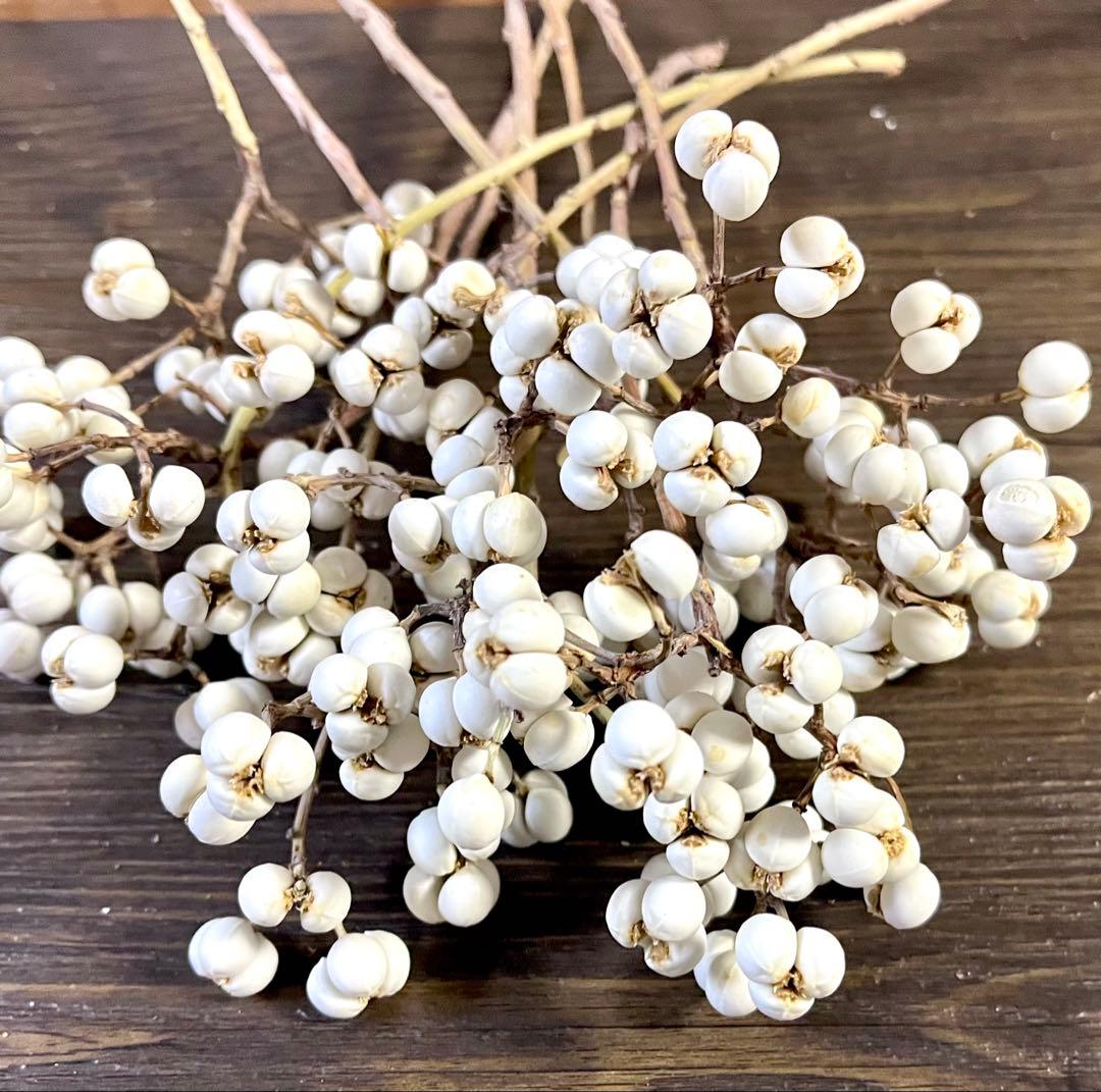 ナンキンハゼ　ドライフラワー