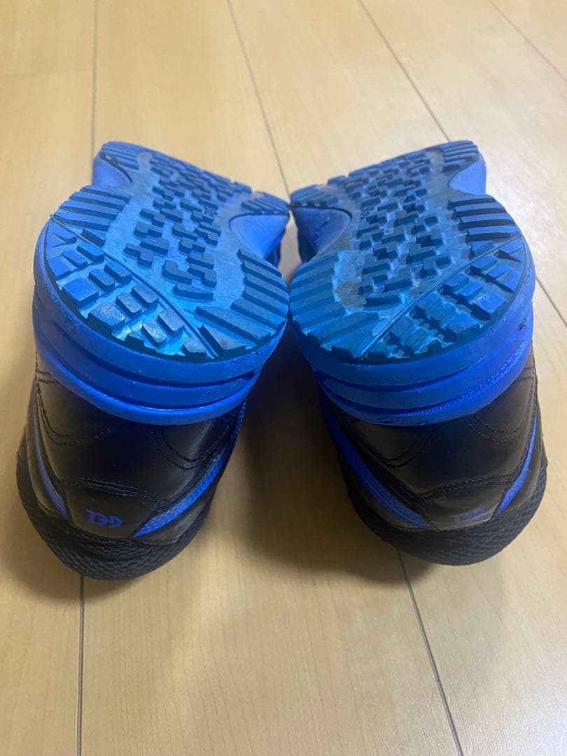 asics FIS42S ワーキングシューズ 25.0