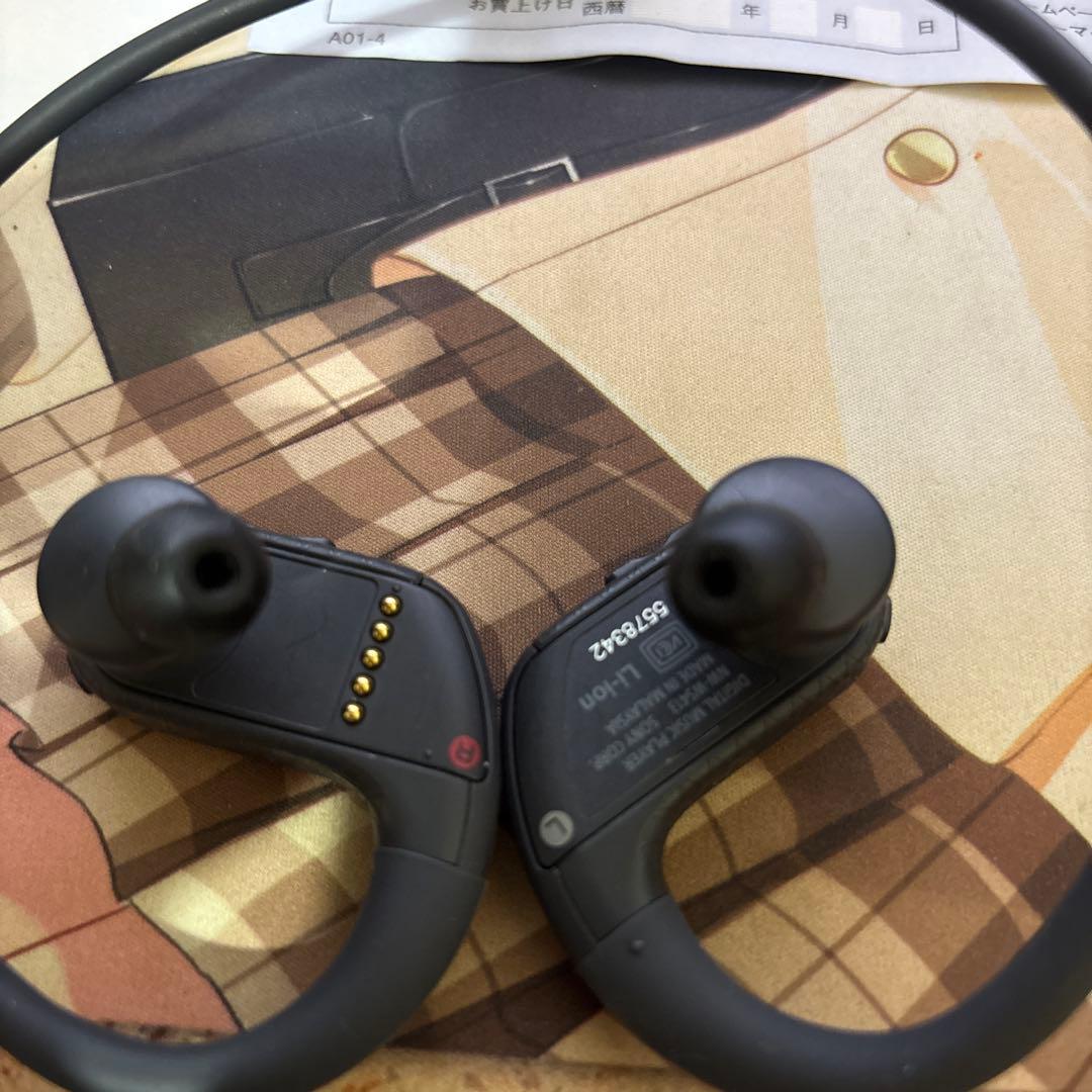 SONY デジタルオーディオプレーヤー 本体ウォークマン　 NWWS413