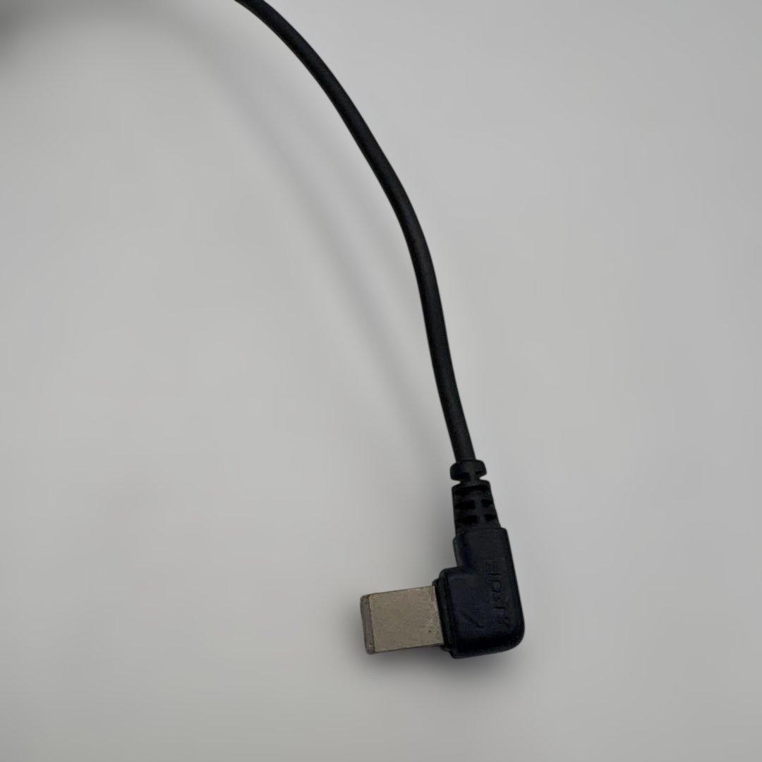 希少　レア　SONY CD WALKMAN D-EJ1000　動作確認済み