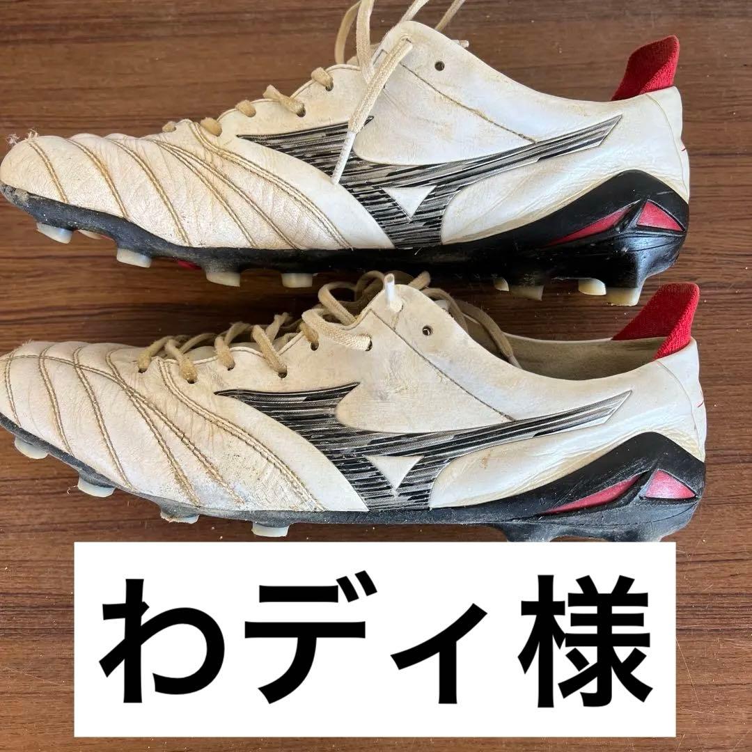 モレリアネオ4 ➕取り替え式➕シューズキーパー