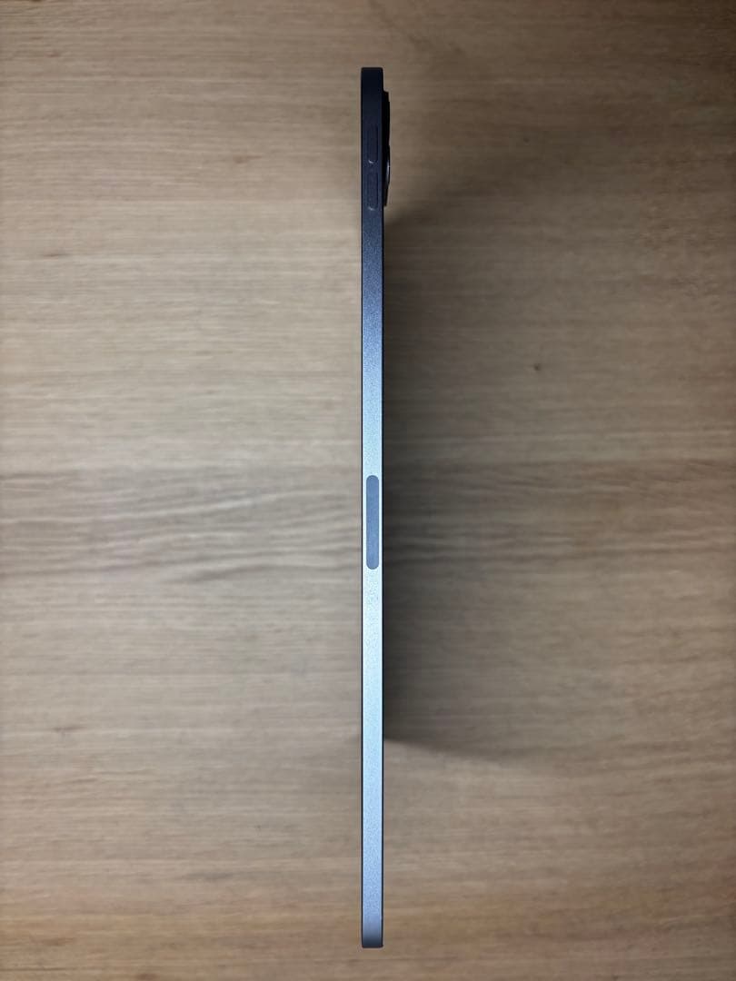 iPad Pro 第4世代 11インチ Apple care +更新可能（？）