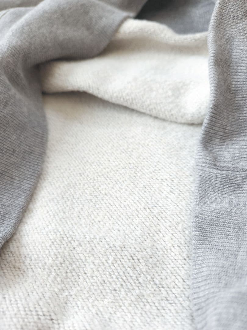 ◇とらB様◇Champion　チャンピオン　ガゼット　スウェット　ランタグ　復刻