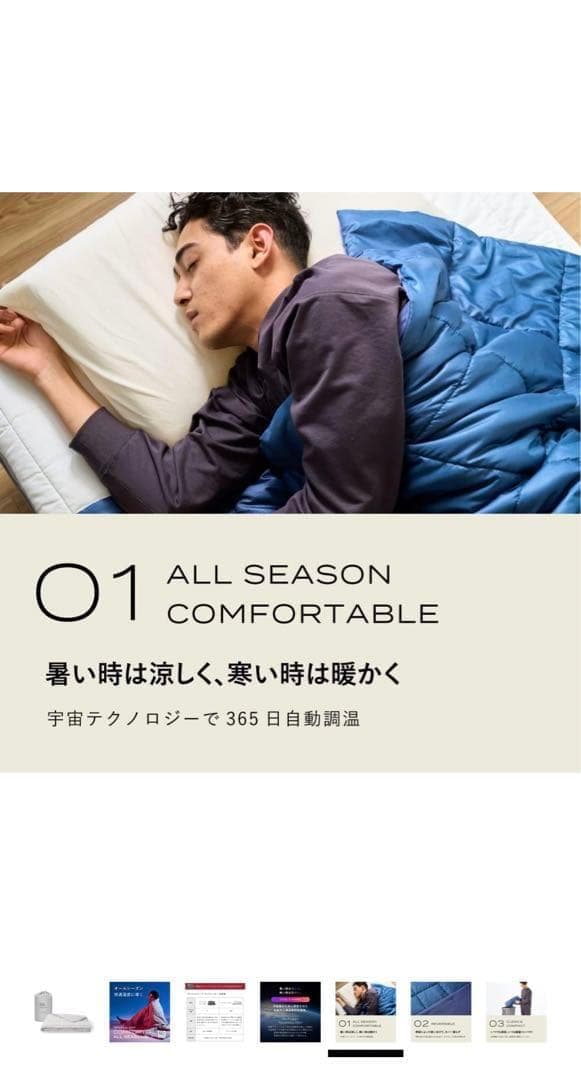 BRAIN SLEEP オールシーズン 掛け布団　クイーンサイズ