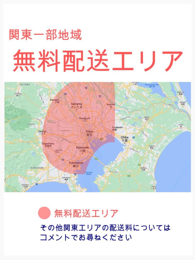 スーパーセール 大容量 パナソニックギュット子供乗せ電動アシスト ZH2053