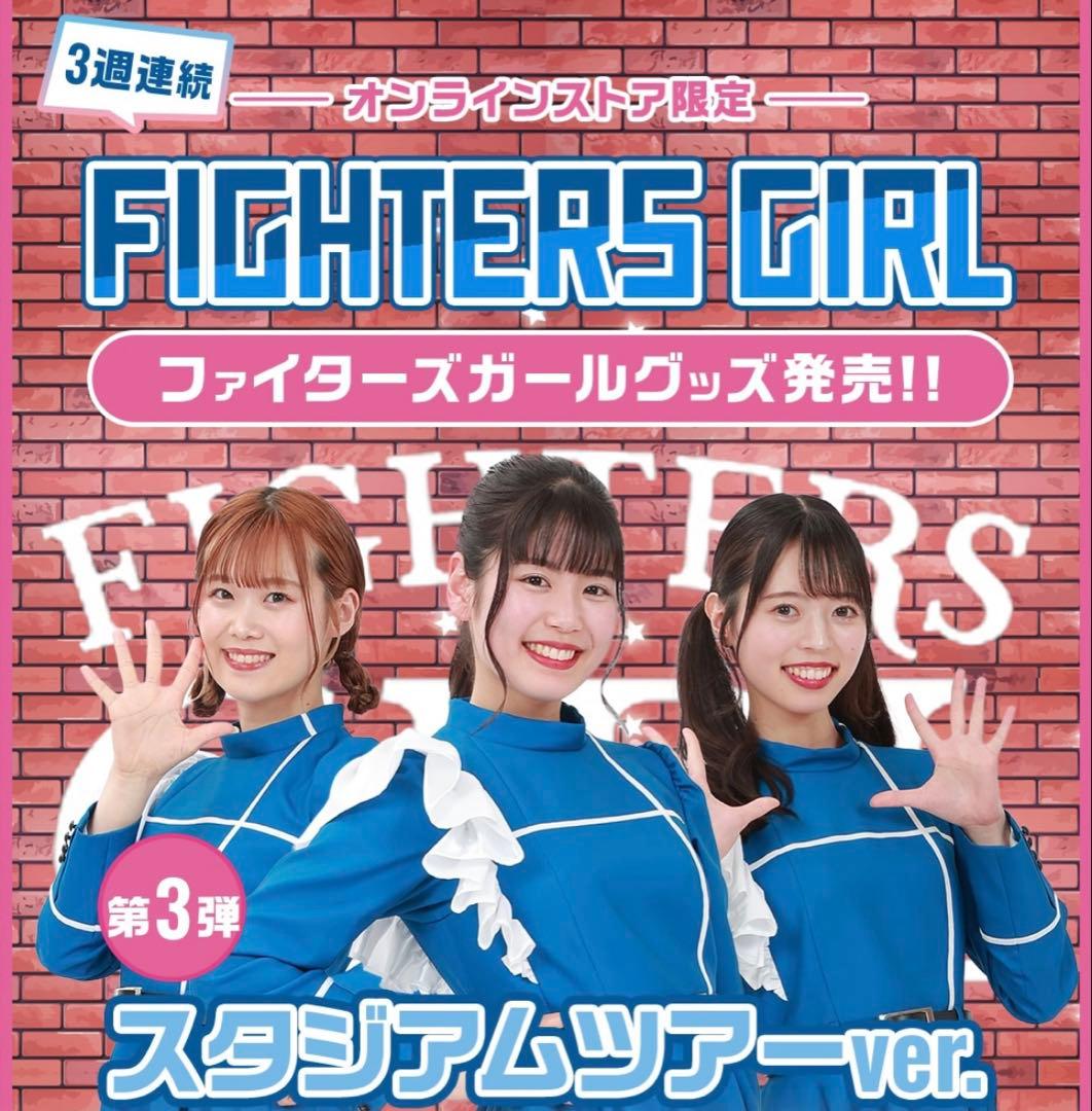 2023ファイターズガール　アクリルスタンド 全員集合