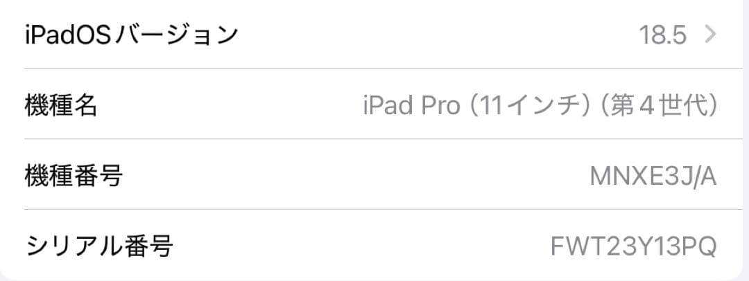 Apple iPad pro 11インチ第4世代 ✨ 豊富なアクセサリー付き❕