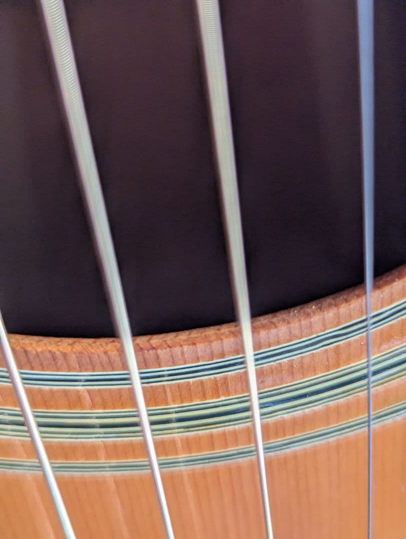 ♪Aria W-350・ハカランダ・トップ単板?♪