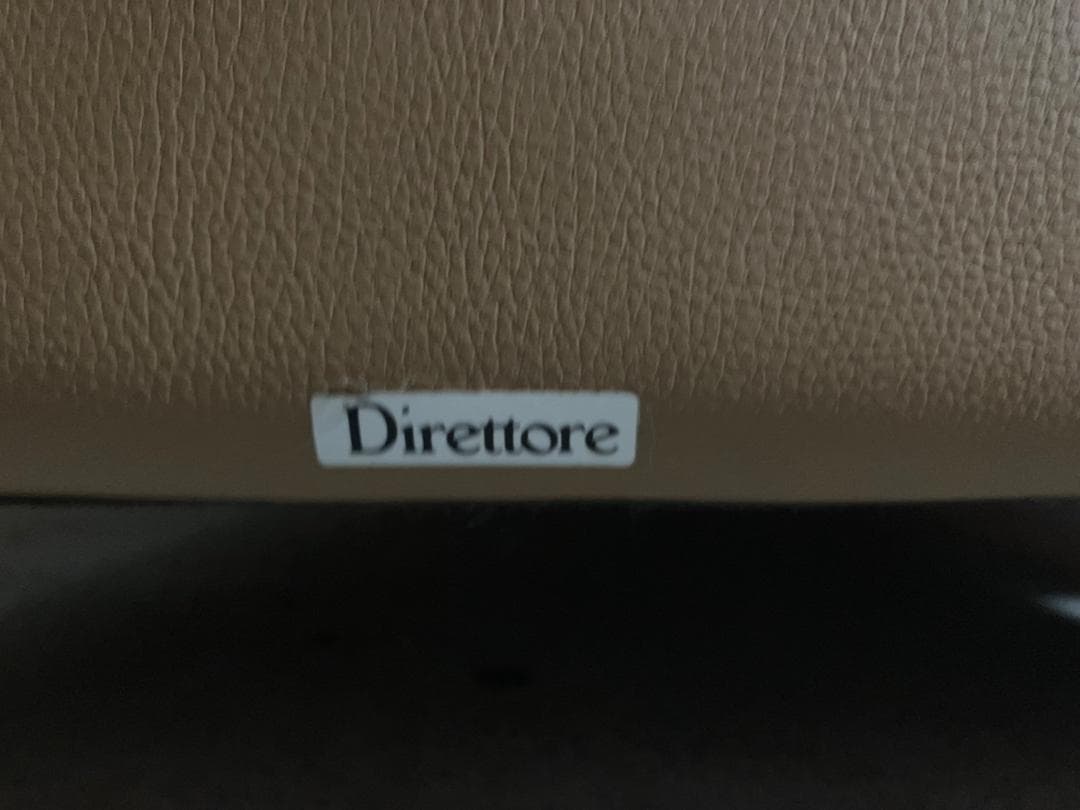 『Direttore』ディレトーレ 肘掛けチェア アームチェア RWso21